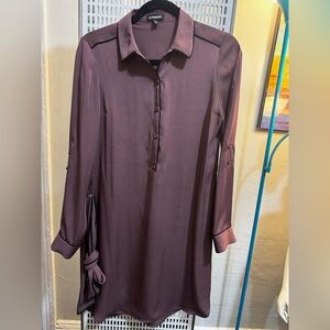 Express Mauve Long Sleeve Dress